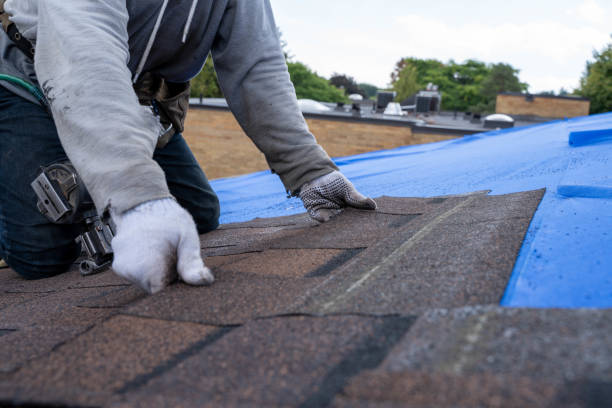 Best Roof Gutter Cleaning  in Hornell, NY
