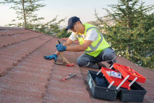 Best Roof Maintenance Services  in Hornell, NY