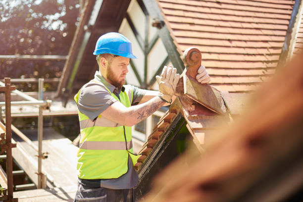 Best Metal Roofing Contractor  in Hornell, NY