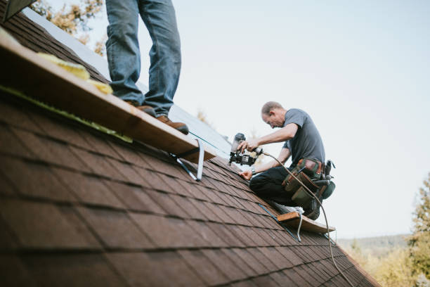 Best Residential Roofing Contractor  in Hornell, NY